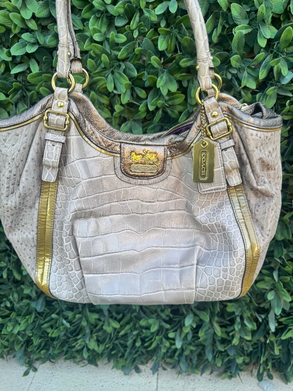 Coach 18623 Madison Abigail Crocodile
